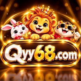 qyy91